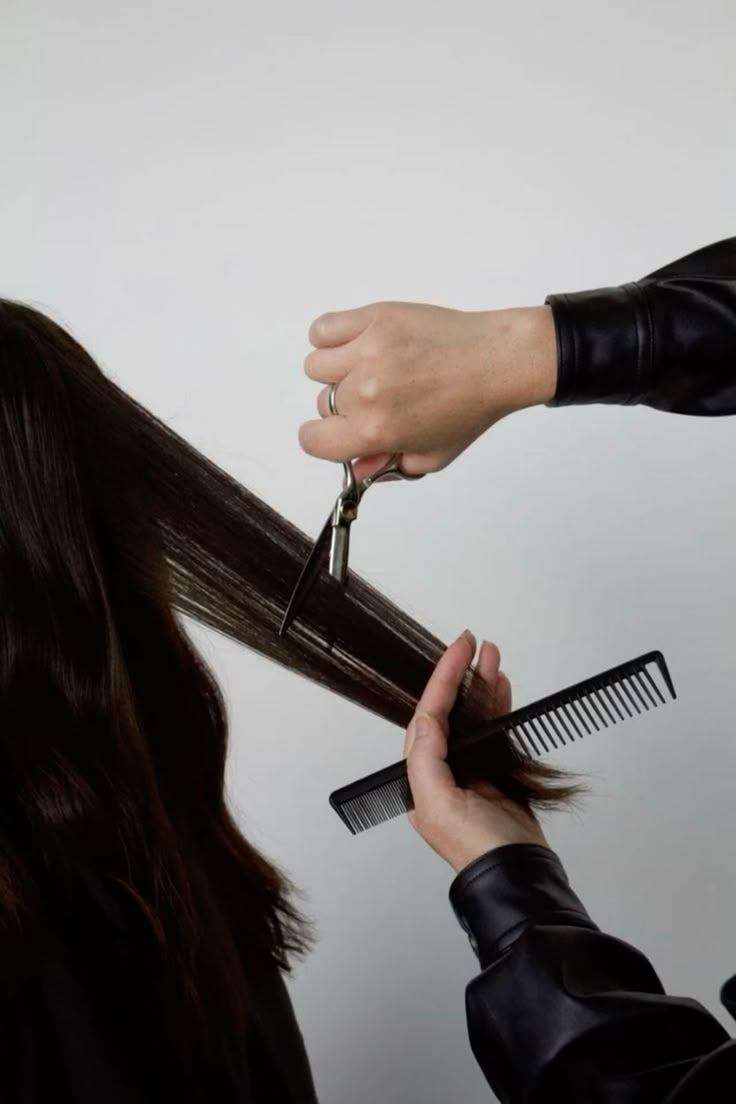 Coupes & Brushing